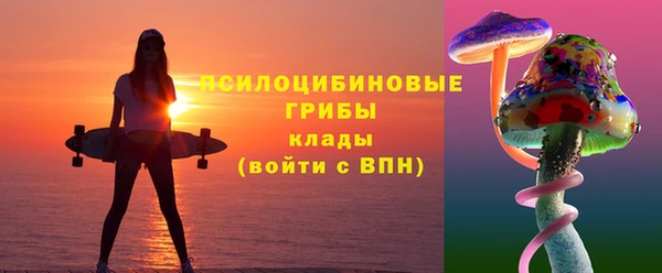 ALPHA PVP Алексин