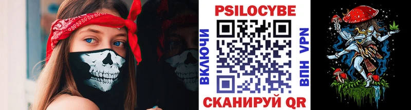 Галлюциногенные грибы Psilocybine cubensis  закладки  Санкт-Петербург 